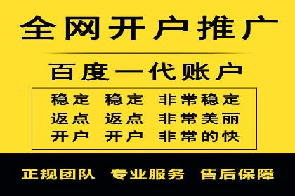 SEM推广代运营实战案例详解